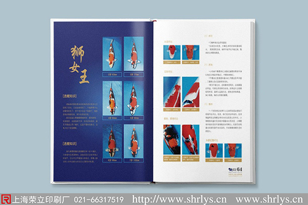 上海畫冊設計：好的畫冊設計分為幾種類型?